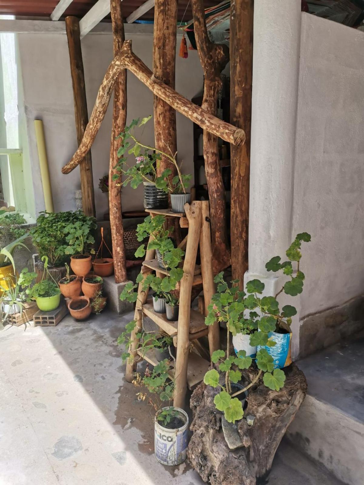 Mocoa Posada Kauai المظهر الخارجي الصورة